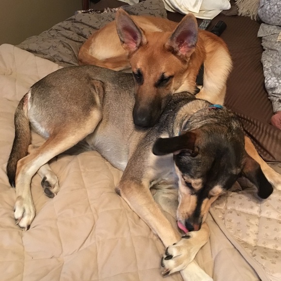 THANK YOU_ Rest in peace my love - Picture 10 of 12